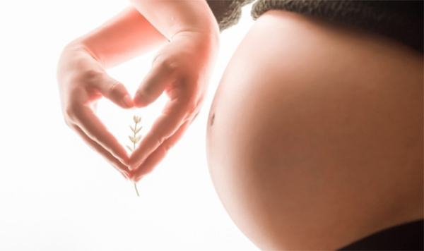 保定怀孕如何办理亲子鉴定,保定办理胎儿亲子鉴定流程是什么